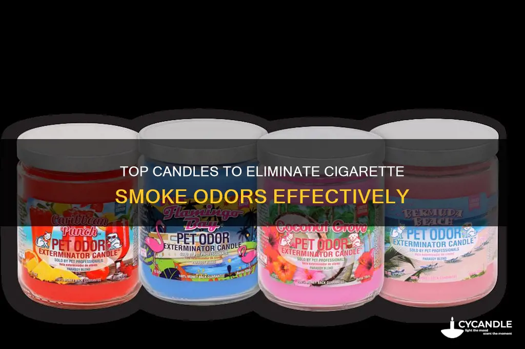 what is the best candle for cigarette smoke