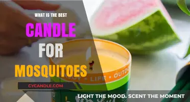 Top Mosquito-Repelling Candles: Natural Solutions for Bug-Free Evenings