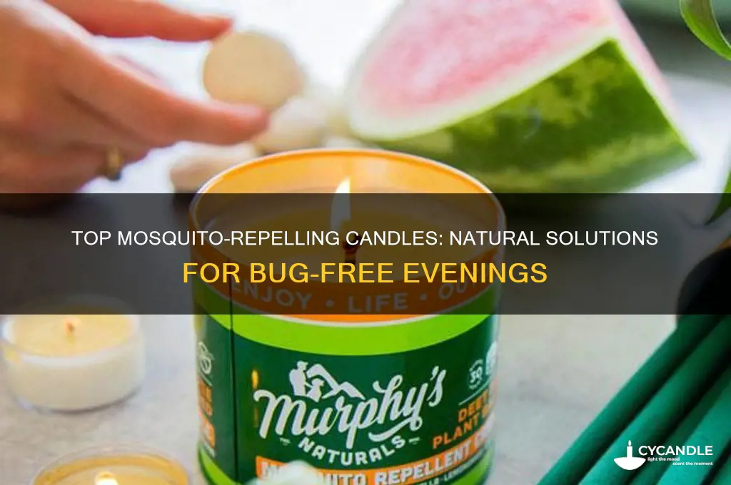 what is the best candle for mosquitoes