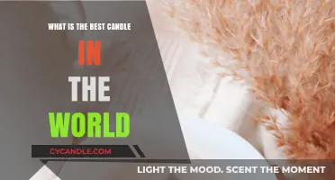 Discover the World's Best Candle: A Scented Journey to Perfection