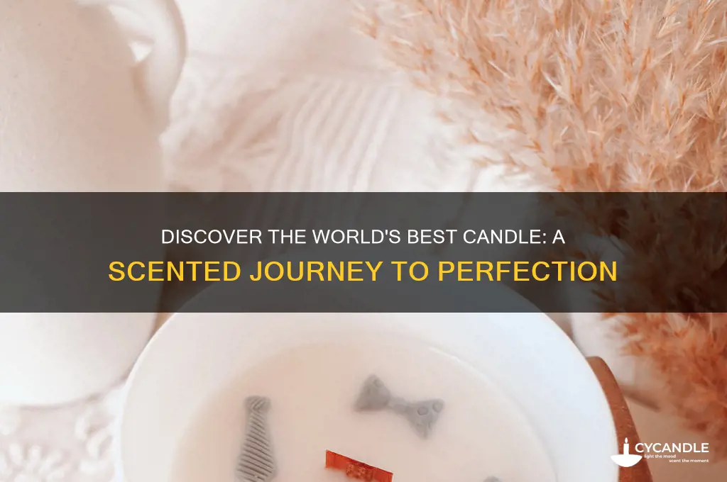what is the best candle in the world