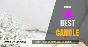 Candle Connoisseurs: The Best Candle for Your Home