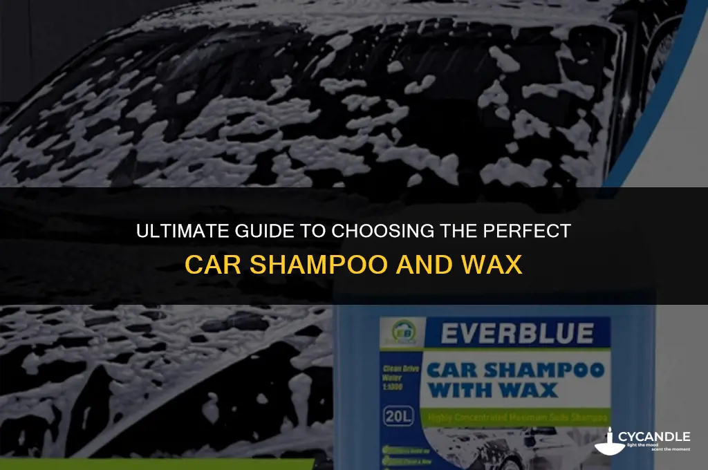 what is the best car shampoo and wax