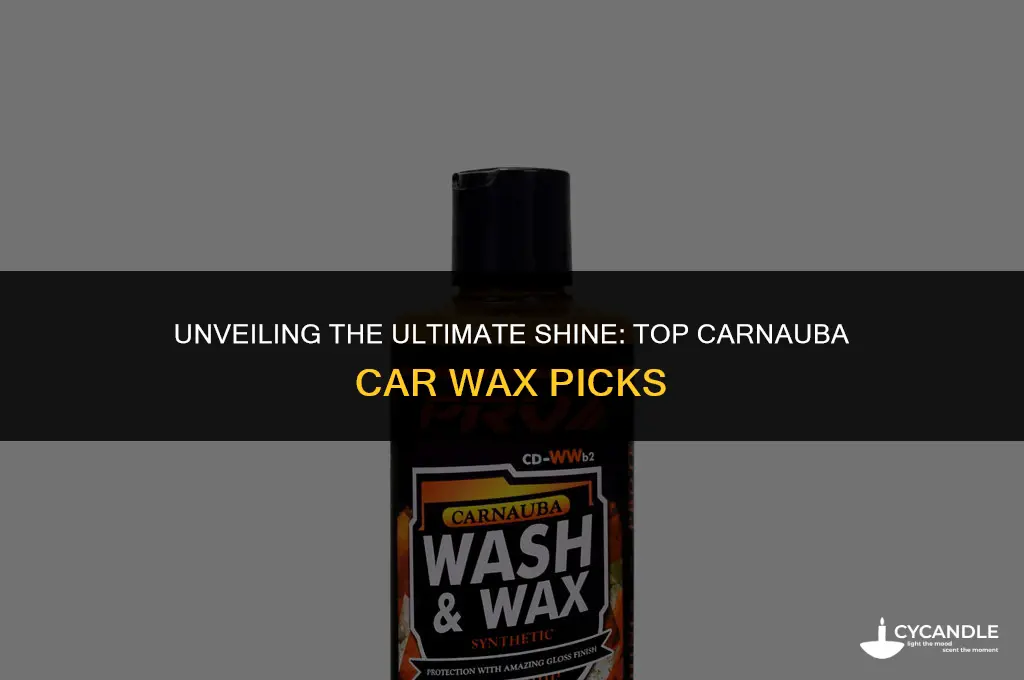 what is the best carnauba car wax