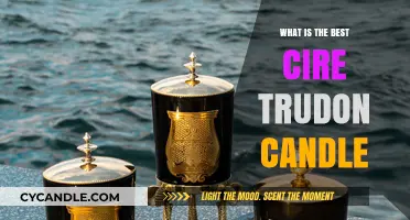 Discover the Ultimate Cire Trudon Candle for Luxurious Ambiance