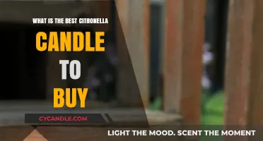 Top Citronella Candles: Best Picks for Bug-Free Outdoor Relaxation