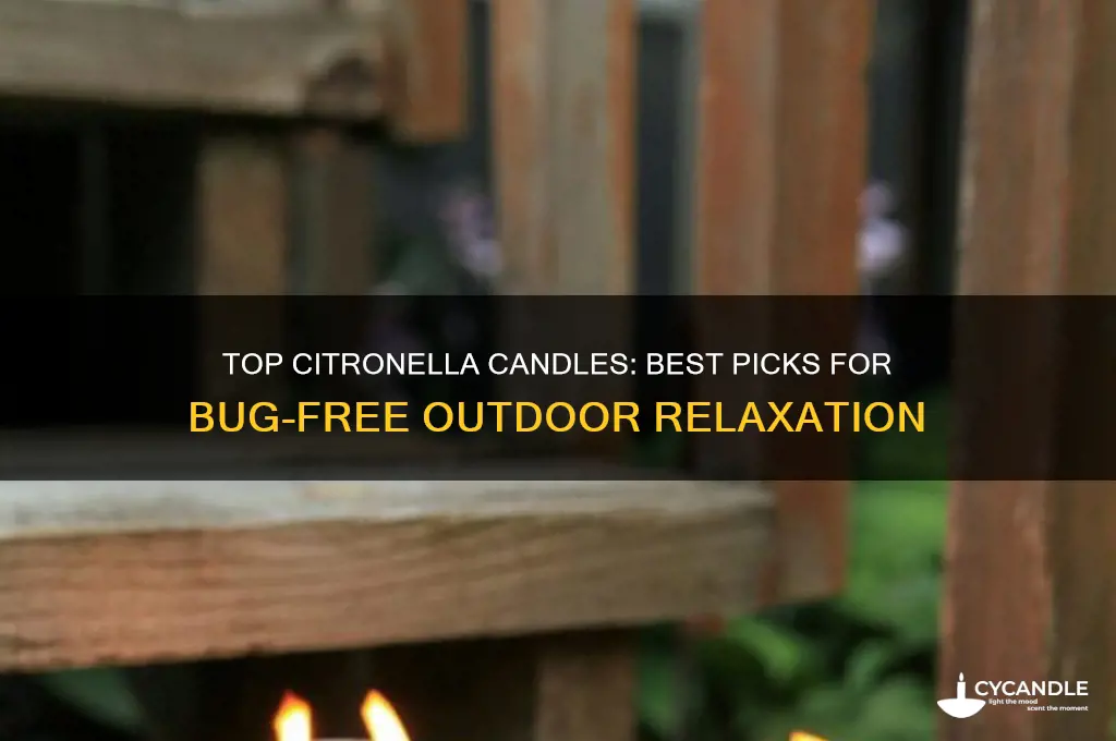 what is the best citronella candle to buy