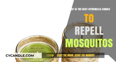Top Citronella Candles to Effectively Repel Mosquitos This Summer