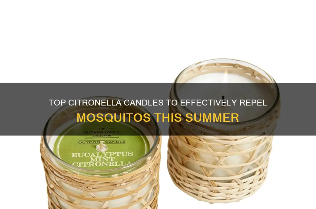 what is the best citronella candle to repell mosquitos