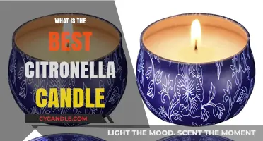 Top Citronella Candles: Effective Bug Repellent for Outdoor Comfort
