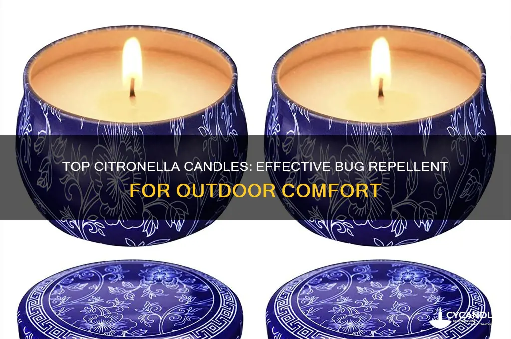 what is the best citronella candle