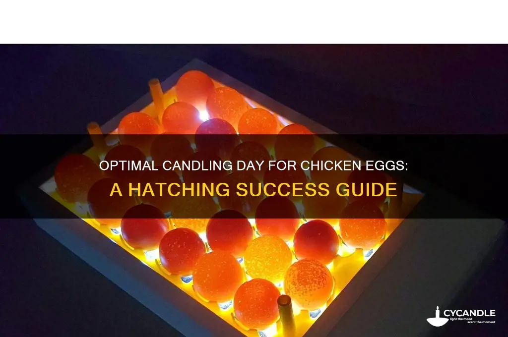 what is the best day to candle chicken eggs