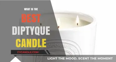Discover the Ultimate Diptyque Candle for Luxurious Ambiance