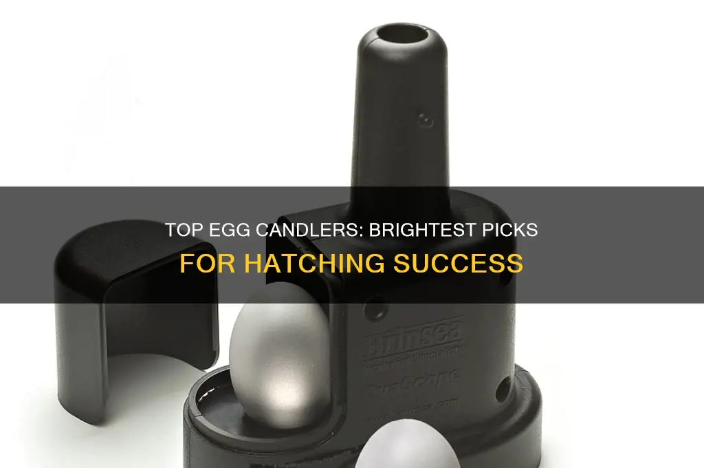 what is the best egg candler