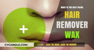 Top Facial Hair Remover Wax: Smooth, Painless, and Long-Lasting Results