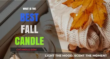Cozy Up: Discover the Perfect Fall Candle for Your Home