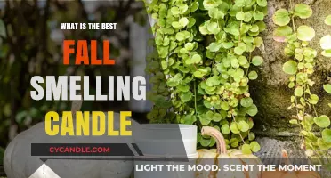 Cozy Autumn Vibes: Discover the Best Fall-Scented Candle for Your Home