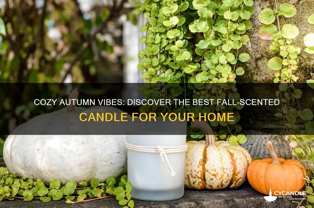 what is the best fall smelling candle