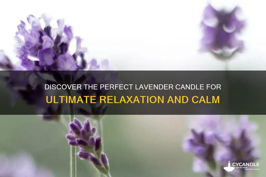 what is the best lavender candle