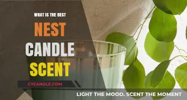 Discover the Most Enchanting Nest Candle Scent for Your Home