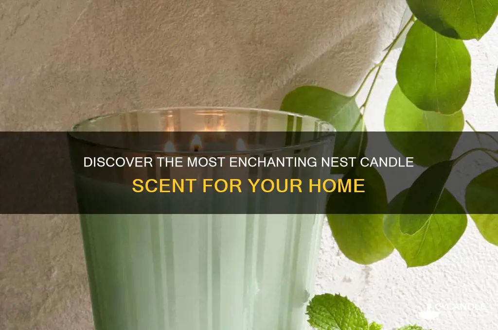 what is the best nest candle scent