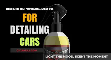 Top Professional Spray Wax for Car Detailing: A Comprehensive Guide