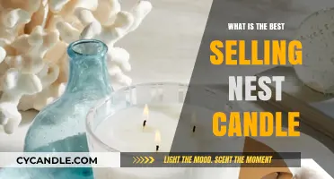 Discover the Top-Selling Nest Candle for Ultimate Home Ambiance