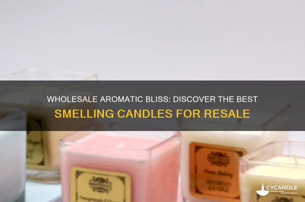 what is the best smelling candles wholesale