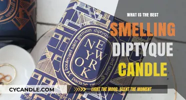 Discover the Most Aromatic Diptyque Candle for Your Home