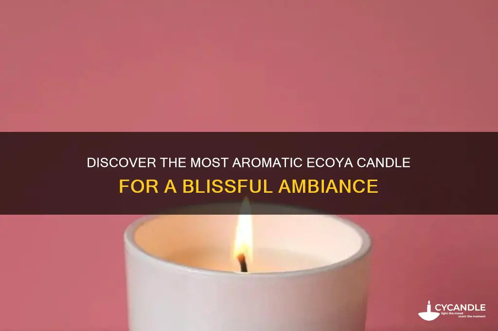 what is the best smelling ecoya candle