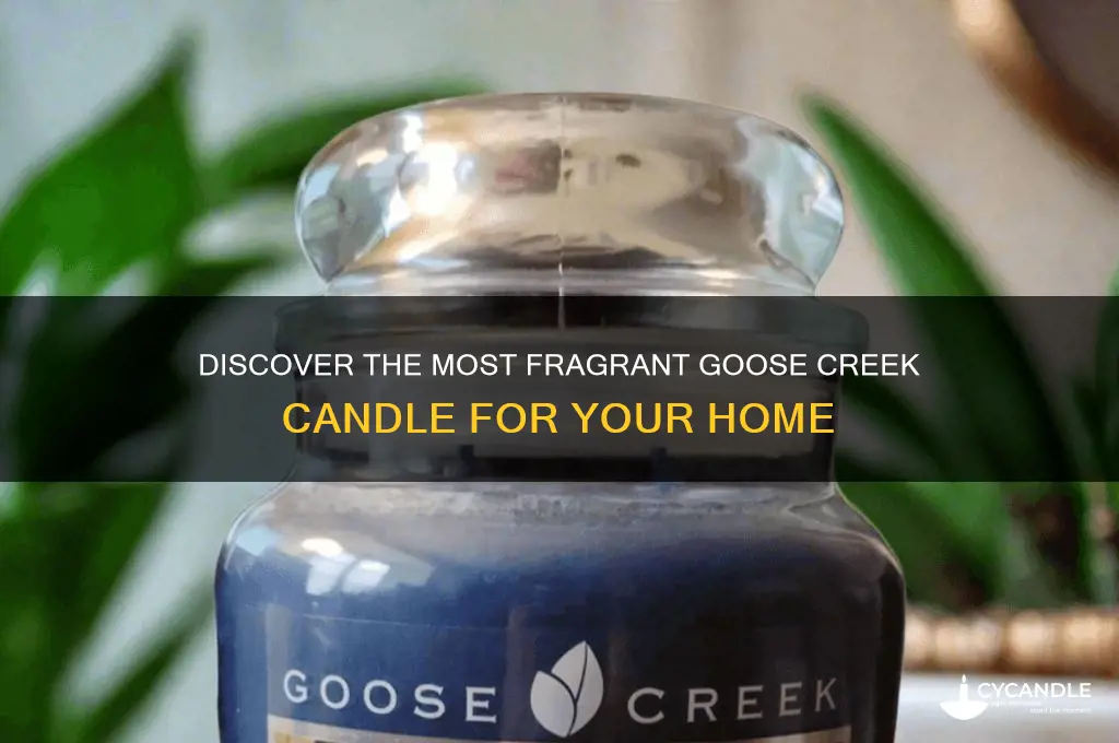 what is the best smelling goose creek candle