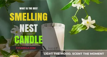 Discover the Most Aromatic Nest Candle for Your Home