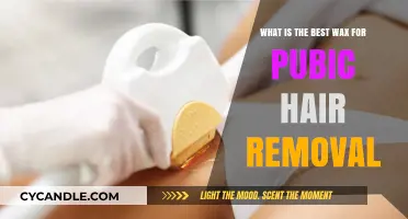 Best Wax for Pubic Hair Removal: Smooth, Gentle, and Effective Options