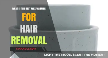 Top Wax Warmers for Smooth, Effective Hair Removal at Home