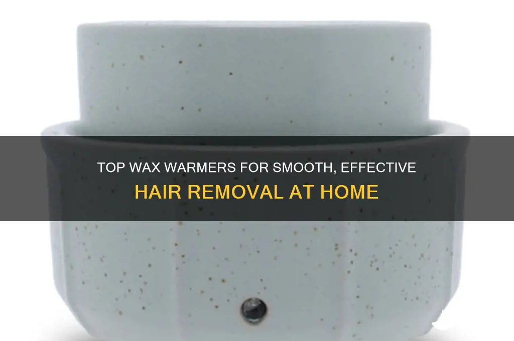 what is the best wax warmer for hair removal