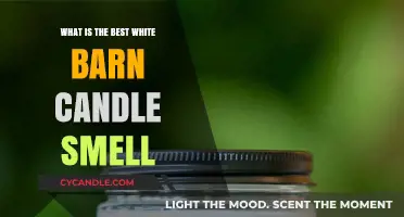 Discover the Most Enchanting White Barn Candle Scents for Your Home
