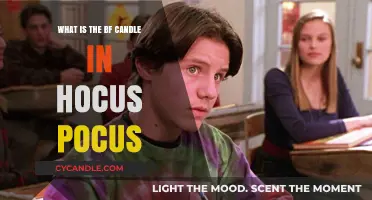 Unveiling the BF Candle's Mystical Role in Hocus Pocus