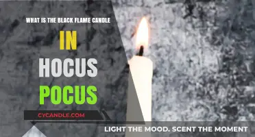 Unveiling the Mystical Black Flame Candle in Hocus Pocus