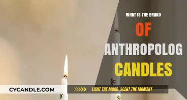 Anthropology Candles: Unveiling the Brand Behind the Aromatic Experience