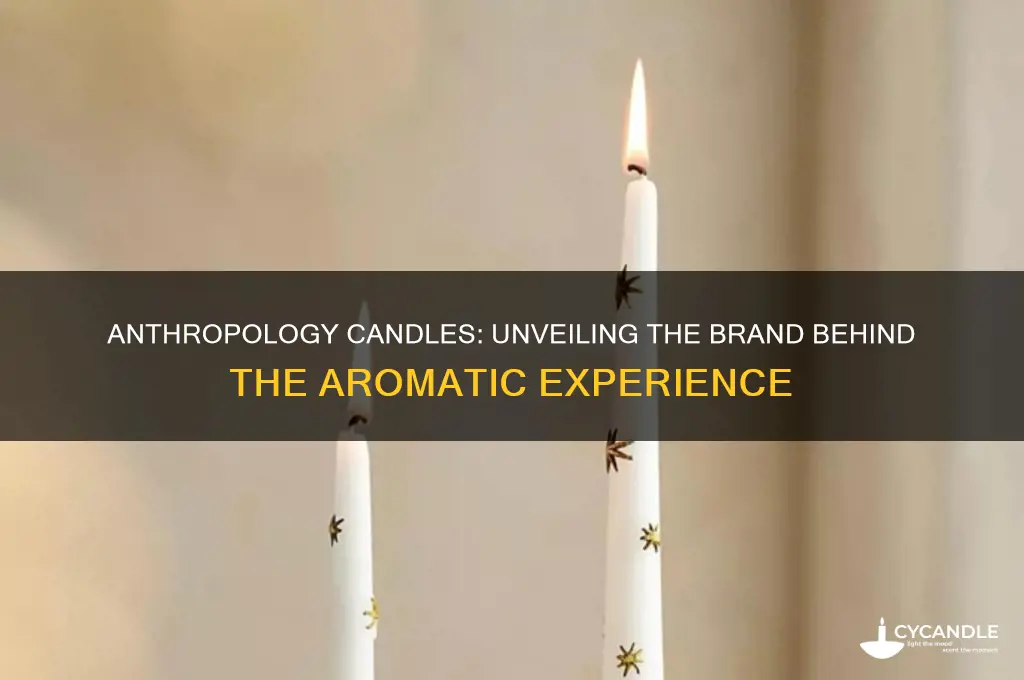 what is the brand of anthropology candles