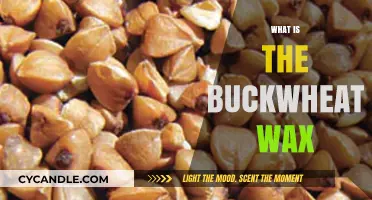 Exploring the Benefits and Uses of Buckwheat Wax