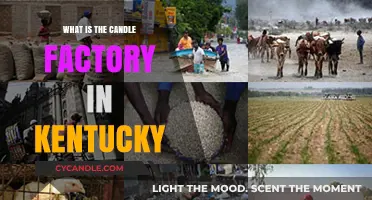 Exploring Kentucky's Candle Factory: History, Products, and Local Impact