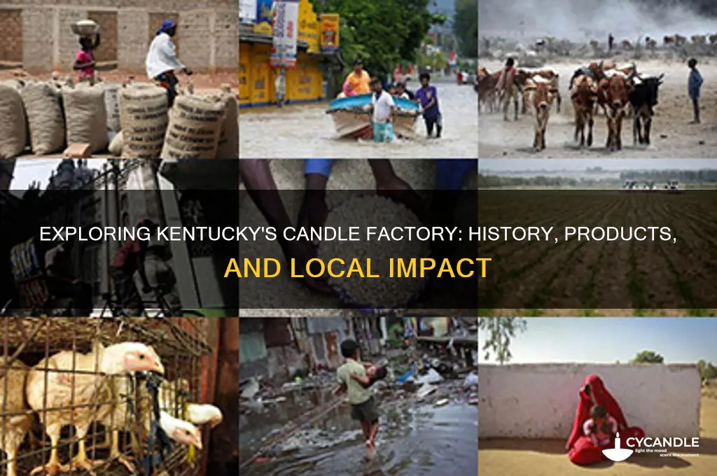 what is the candle factory in kentucky