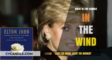 Understanding the Poignant Meaning Behind 'Candle in the Wind