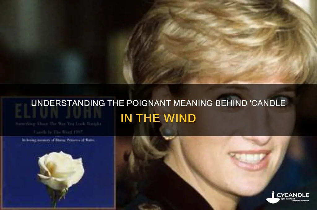 what is the candle in the wind
