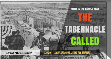 The Sacred Flame: Understanding the Tabernacle's Eternal Light