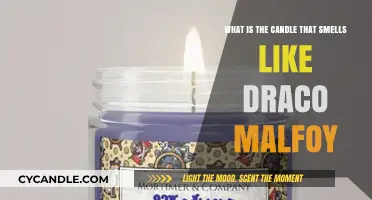 Unveiling the Scent: A Draco Malfoy-Inspired Candle Explored