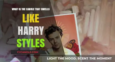Unveiling the Scent: The Harry Styles-Inspired Candle Craze
