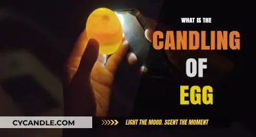Understanding Egg Candling: A Simple Technique for Checking Freshness