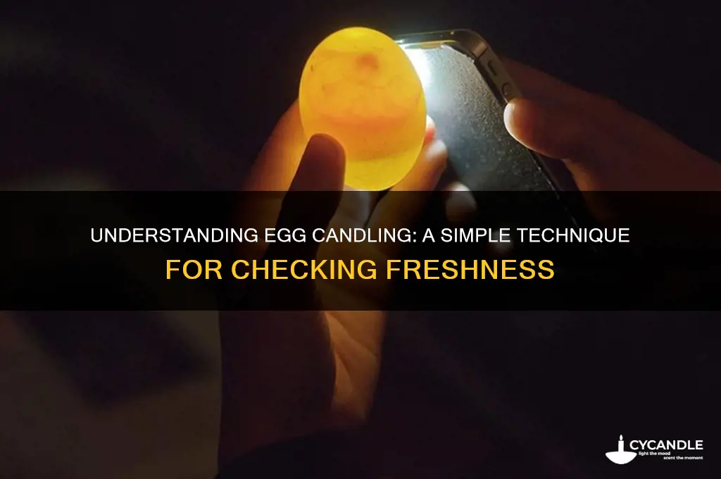 what is the candling of egg